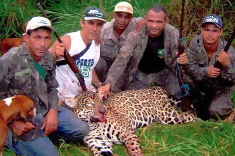 Dentist arrested after 'illegally killing 1,000 jaguars on sick hunting trips'